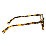 Buckler - Tokyo Tortoise