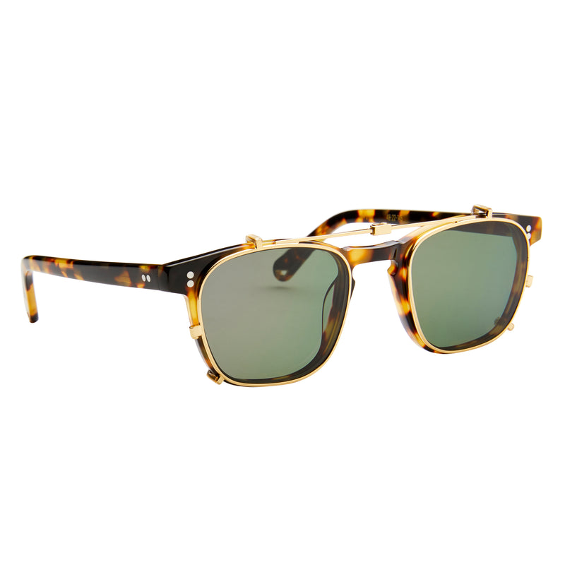 Hardy - Tokyo Tortoise